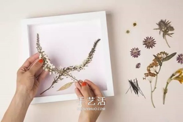 Use pressed flowers to retain the beauty of spring! Dried flower making and pressed flower decorative paintingDIY