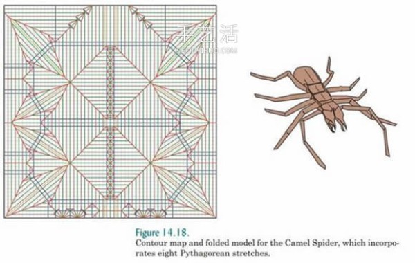 Basic knowledge of origami design also includes an introduction to origami technology and snake belly