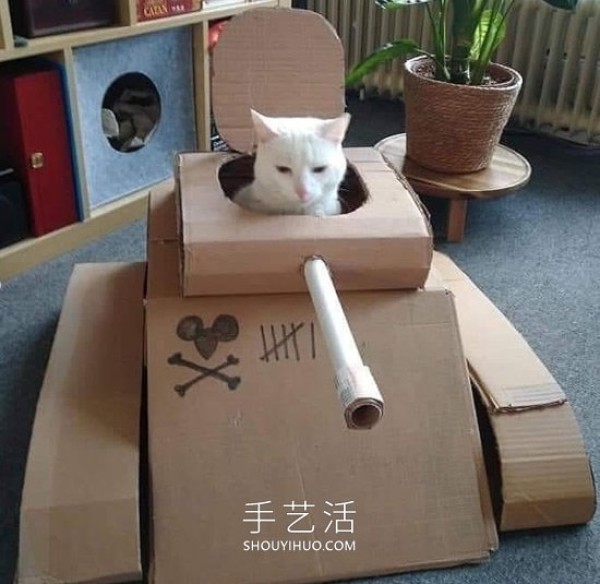 People in quarantine make cardboard tanks for cats