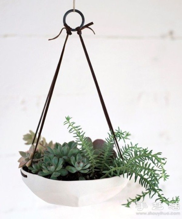 10 Creative Flower Pots and Potted Plants for Decorating Modern Homes