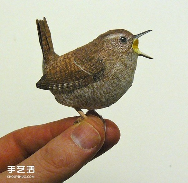 Pictures of master-level bird paper models with detailed paper bird models