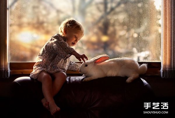 Appreciation of heart-warming photography of a cute little boy and animals