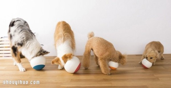 Oppo Food Ball is a tumbler bowl for dogs to eat slowly