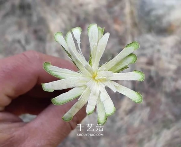 Illustrated tutorial on how to carve simple handmade branches to make flowers