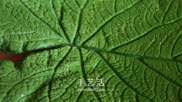 Cement concrete leaf decorative plate can also be used as a fruit plate! 