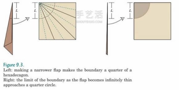 Basic knowledge of origami design also includes an introduction to origami technology and snake belly