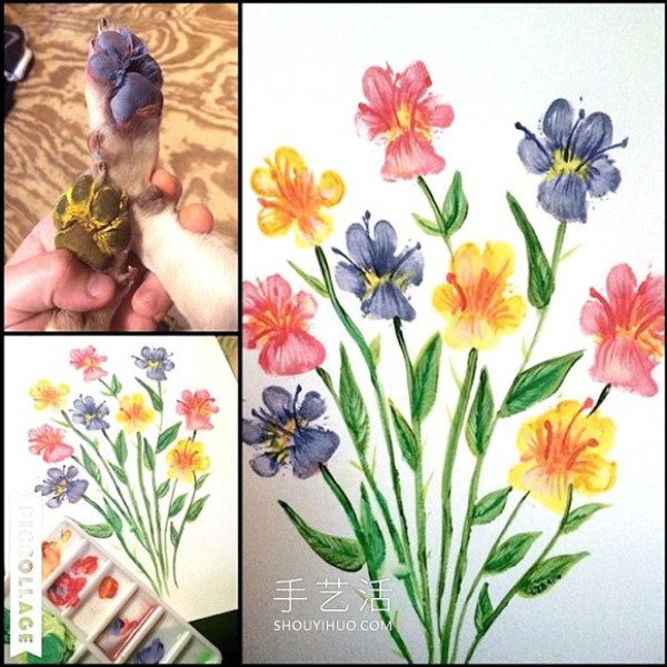 Pet owners use their dogs paws to draw beautiful flower paintings