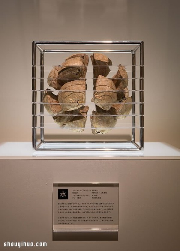 Exhibition of Herbarium Works in Kyoto to Heal the Universe in Cubes