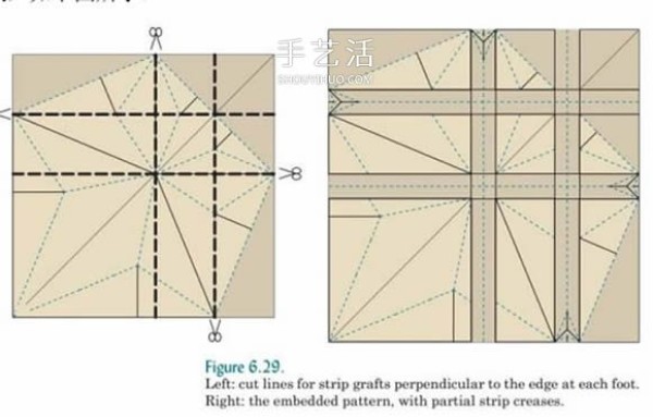 Basic knowledge of origami design also includes an introduction to origami technology and snake belly