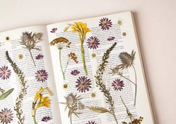 Use pressed flowers to retain the beauty of spring! Dried flower making and pressed flower decorative painting DIY