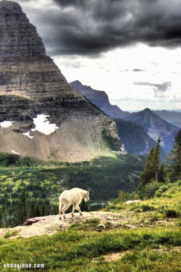 Appreciation of the entries in the 2014 National Geographic Photography Contest