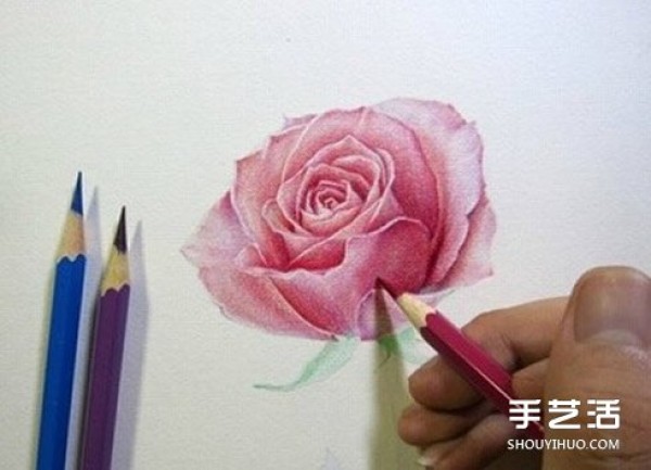 How to draw a rose with colored lead, step-by-step tutorial on how to draw a rose with colored pencils