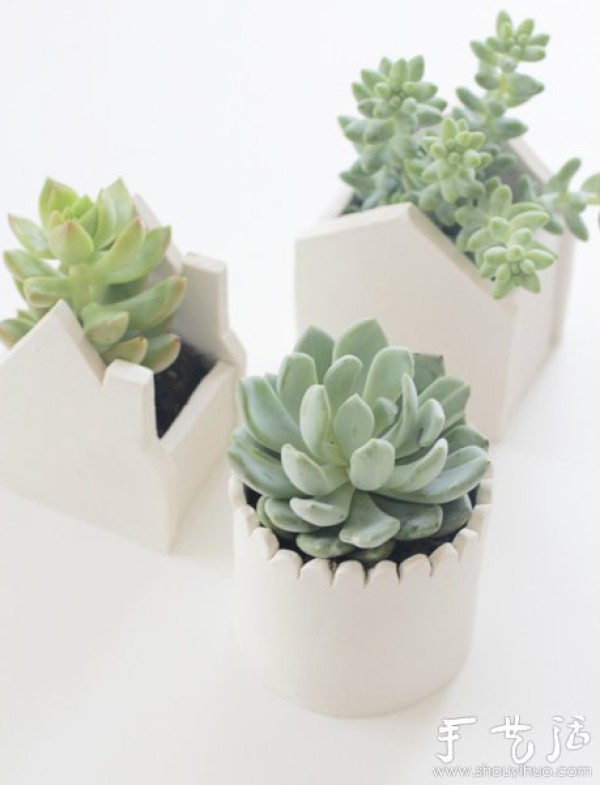 DIY creative succulent potted clay pot