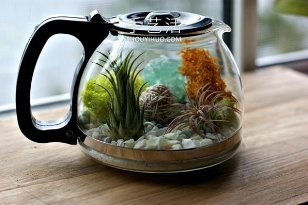 How to make a DIY air plant bonsai by renovating an old coffee pot