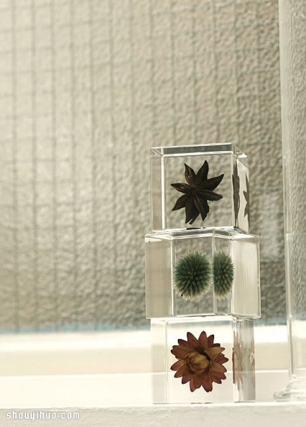 Exhibition of Herbarium Works in Kyoto to Heal the Universe in Cubes