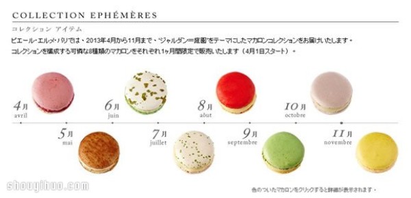 The perfect fusion of Japanese floral arrangements and French dessert macarons