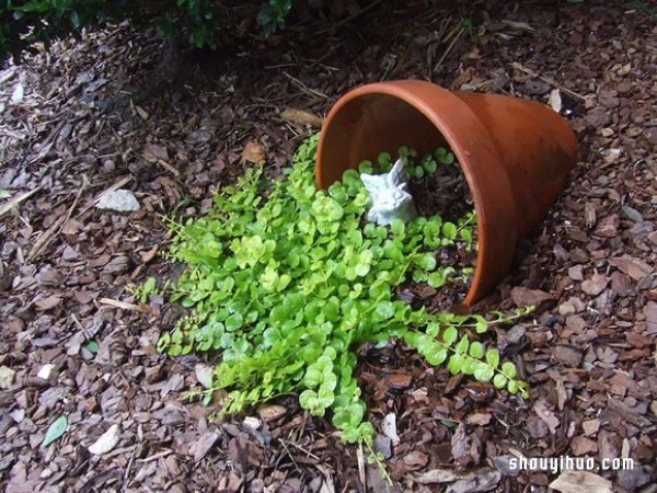 Spilled Flower Pots gardening method makes the backyard look like a picture