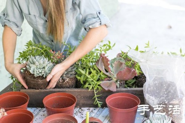 Creative DIY small fresh succulent plant pots