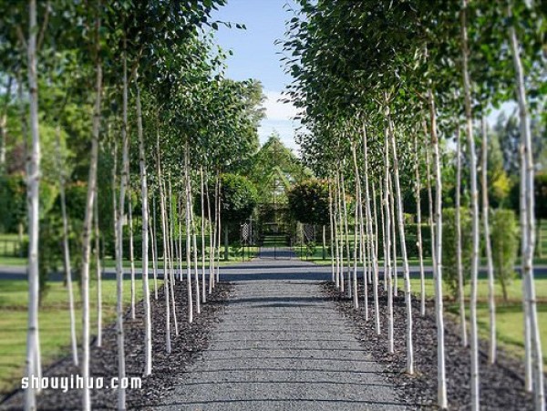 The breathing church, a green secret realm built with trees