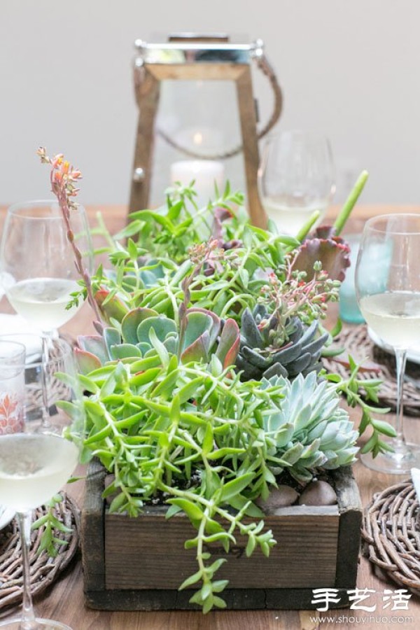 Creative DIY small fresh succulent plant pots