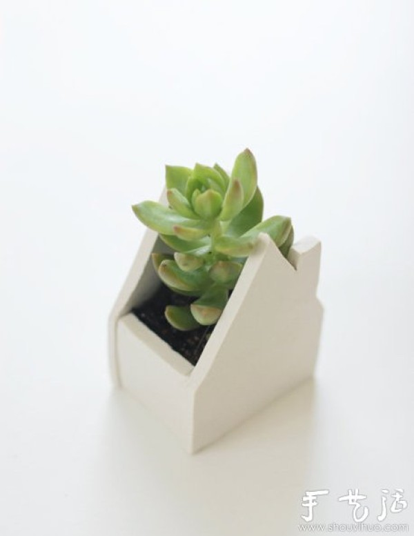 DIY creative succulent potted clay pot