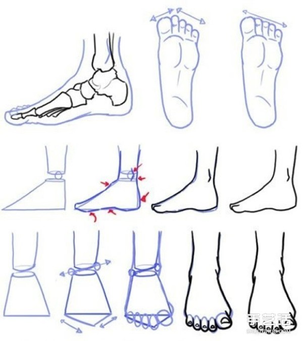 Illustrations of how to draw feet of different shapes, step-by-step drawings of foot sketches