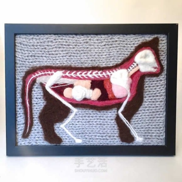 Animal anatomy knitted works! Turn anatomy scenes into cute displays