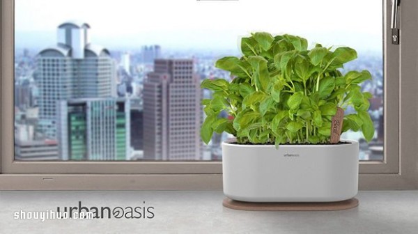 Urban Oasis tool set allows you to be a farmer at home