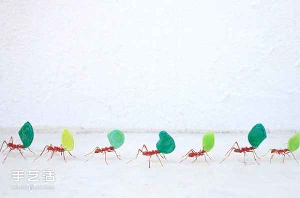 Tiny brilliant luster! Glass insect sculpture that tests your eyesight and skill