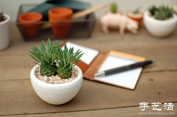 DIY Cute Cactus Potted Plant