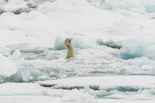 Appreciation of the entries in the 2014 National Geographic Photography Contest