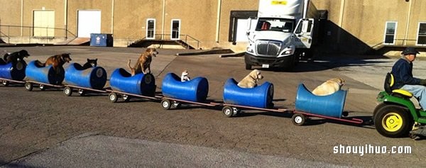 80-year-old man builds a dog-walking train and takes adopted stray dogs for a ride