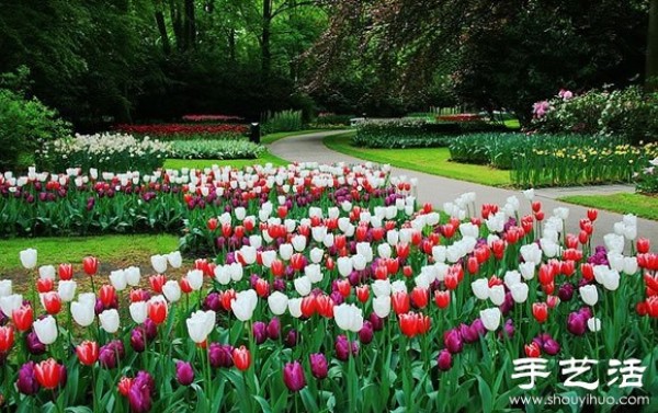 The most beautiful garden in spring - Keukenhof Park