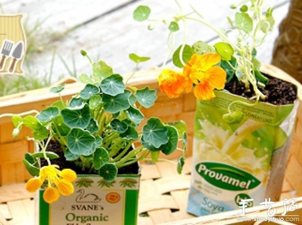 How to transplant flowers and plants, methods of transplanting flowers and plants