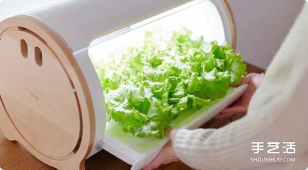 Foop, a small indoor vegetable garden that allows you to easily grow vegetables at home