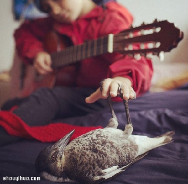 The heart-warming story of the little boy Noah and the magpie Penguin