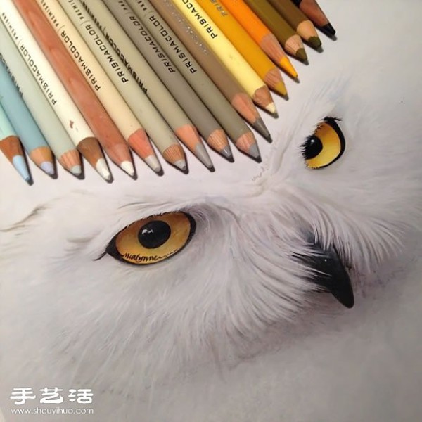 Using an ordinary paintbrush to hand-draw lifelike animal paintings