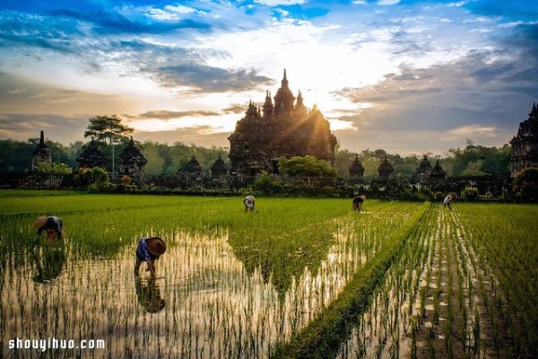 Appreciation of the entries in the 2014 National Geographic Photography Contest