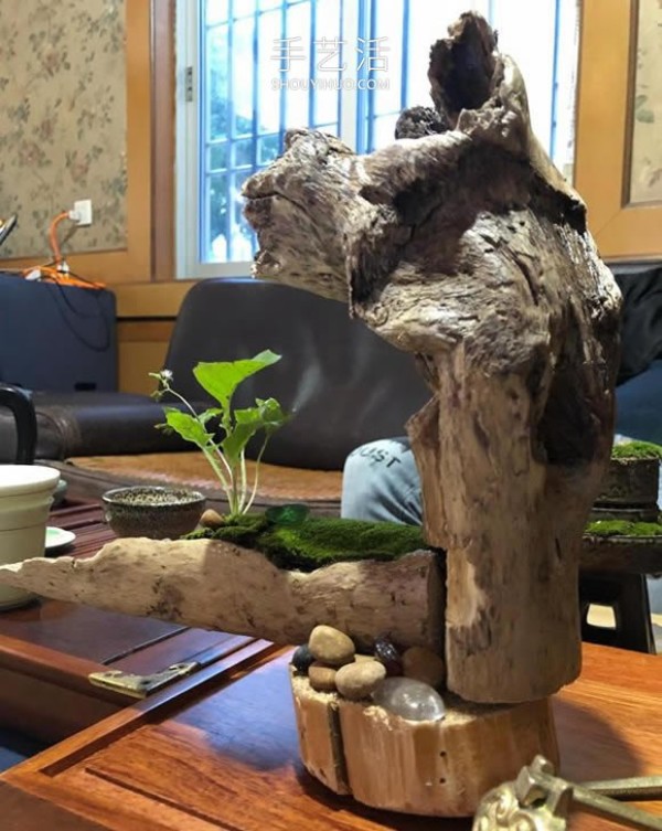 How to make bonsai shapes out of dead wood