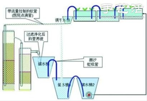 Super detailed hydroponic vegetable growing tutorial, you can grow vegetables conveniently at home! 