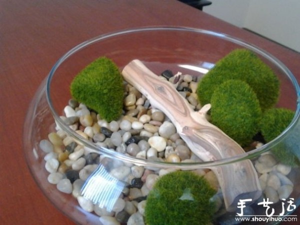 Ocean style home decoration bonsai DIY tutorial