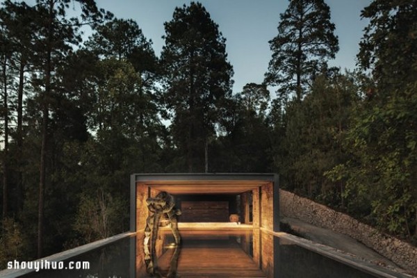 El Mirador House Forest villa design with stables