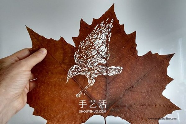 Want to try changing the industry? The leaf carving of the 38-year-old boxing champion