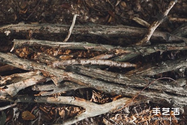 Find the corner where your heart rests, living in the tree house of childhood dreams