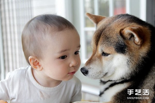 Photography of a cute little boy and his best dog friend