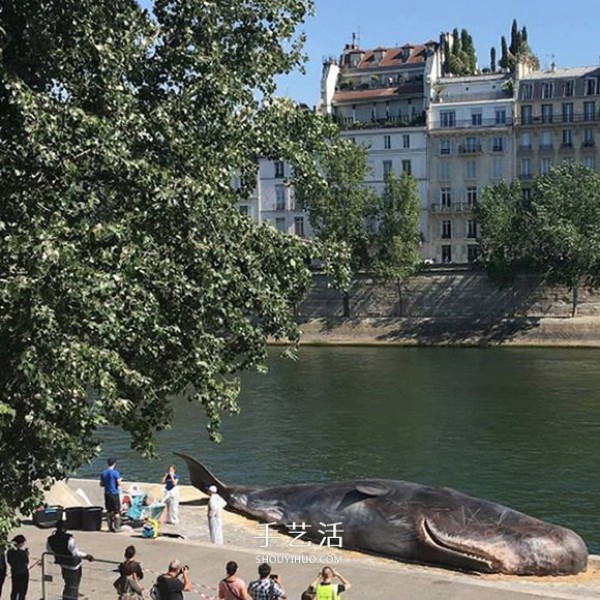 Shocking installation art! Sperm whale "stranded" on the banks of the Seine