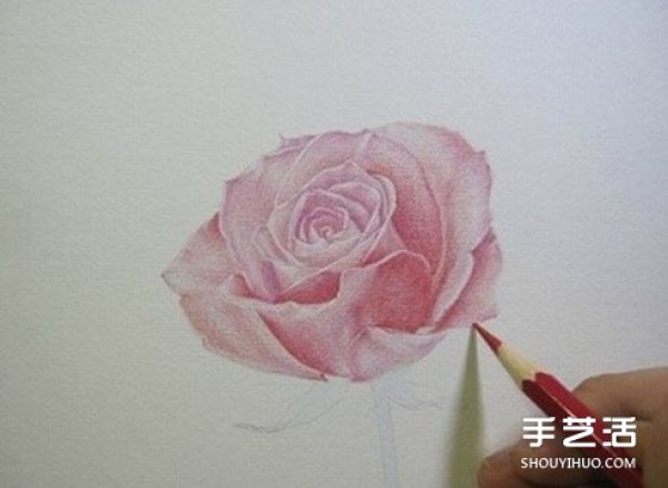 How to draw a rose with colored lead, step-by-step tutorial on how to draw a rose with colored pencils