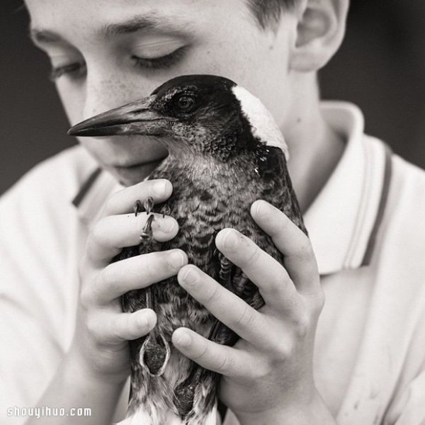 The heart-warming story of the little boy Noah and the magpie Penguin