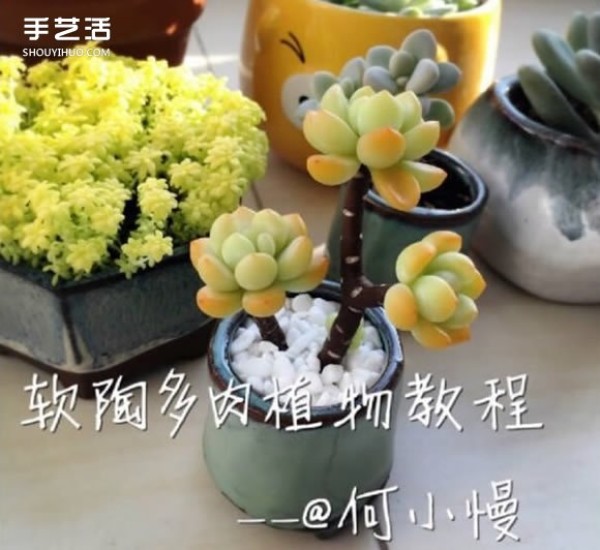 Polymer succulent hand-making tutorial succulent plant soft clay tutorial illustration