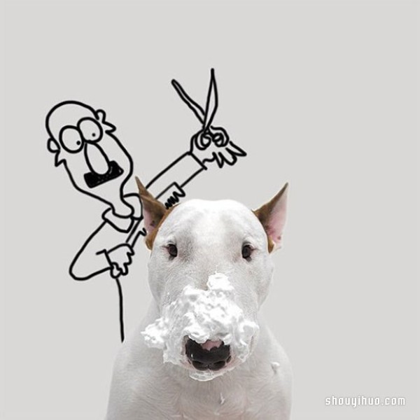 Graffiti on the wall: Turn your pet dog into an interesting illustration work